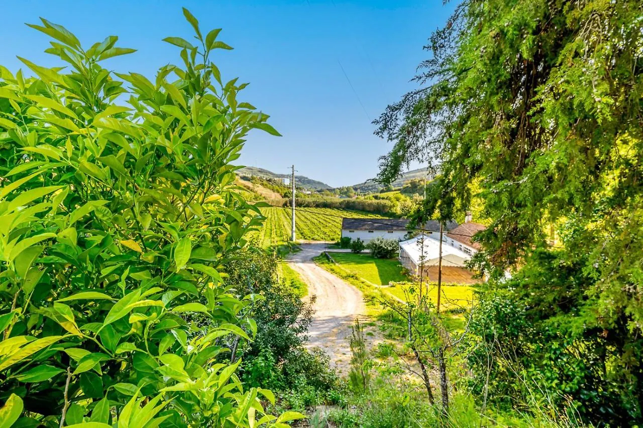 بيت للعطل فيلا Quinta Do Boicao Lisboa البرتغال