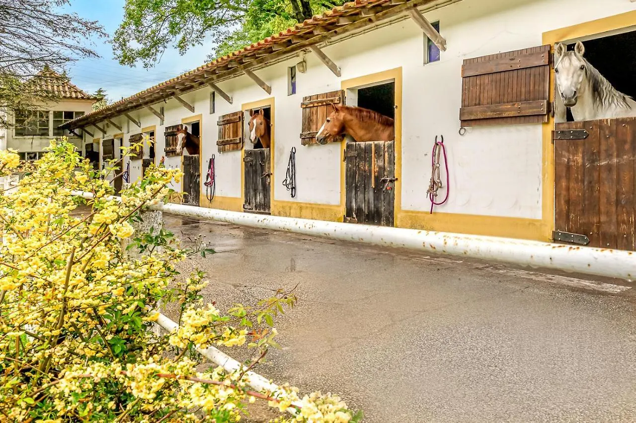 Quinta do Boição Vila Lisboa
